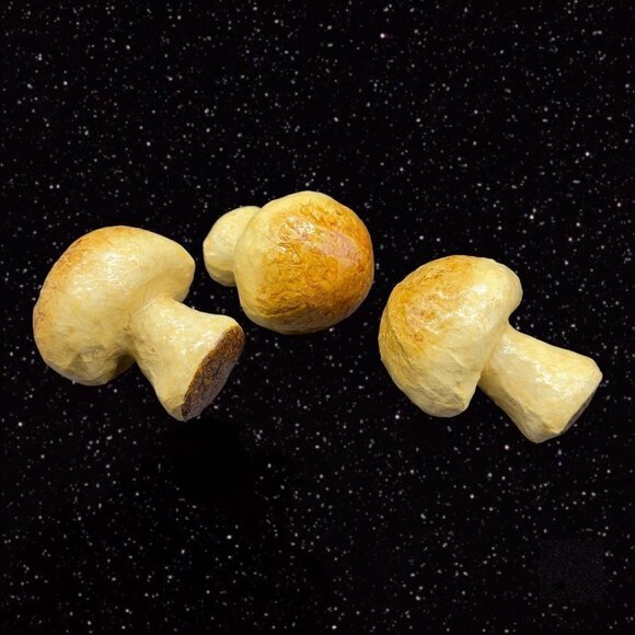 México Folk Art Paper Mache MUSHROOM Faux Vegetable Fruit Shaped 3 Pcs Set  3”T - Picture 5 of 12